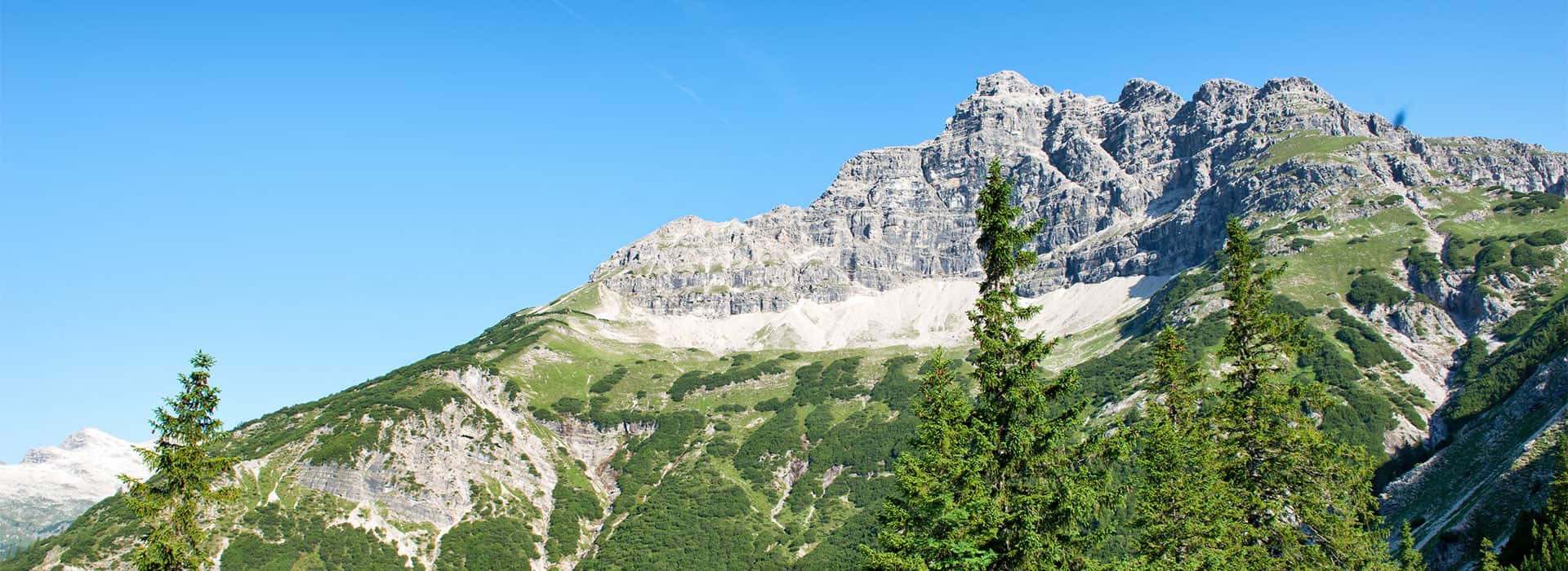 Vakantievilla Karinthie landschap bergkam