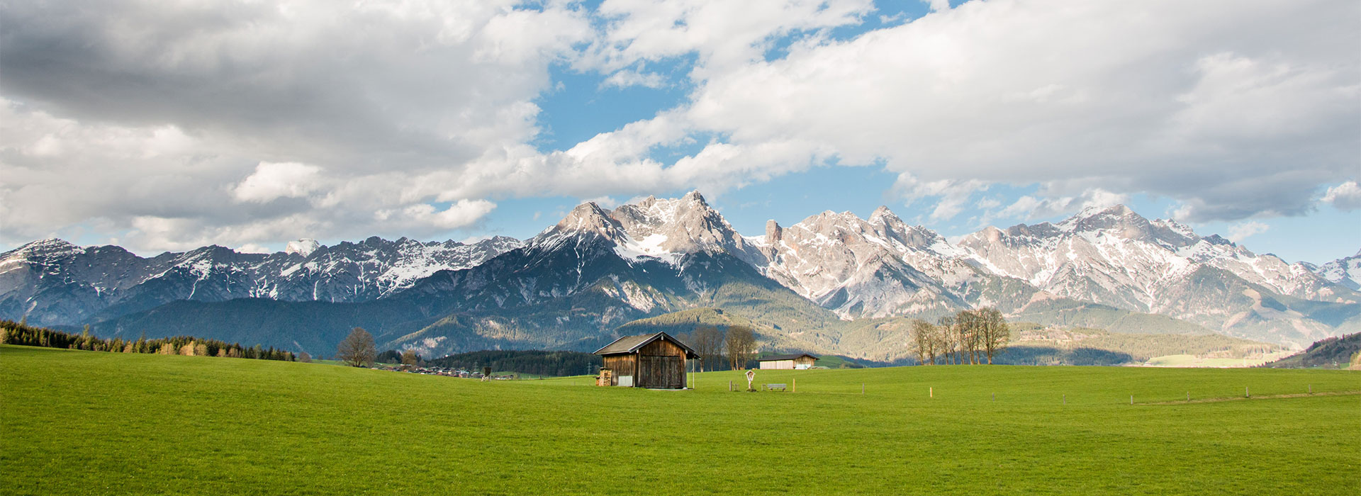 Vakantievilla Karinthie landschap weide